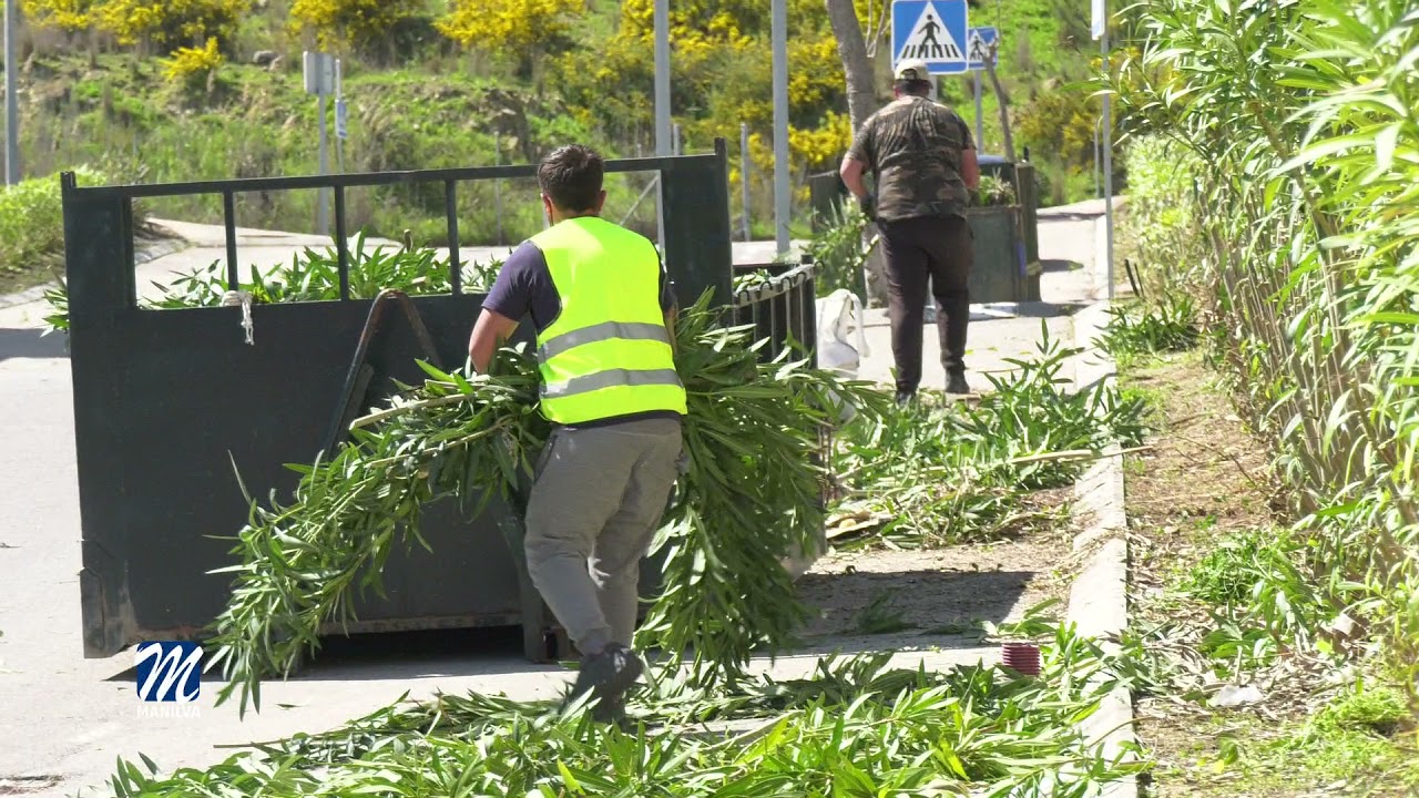 Trabajos de poda y desbroce en el polígono industrial