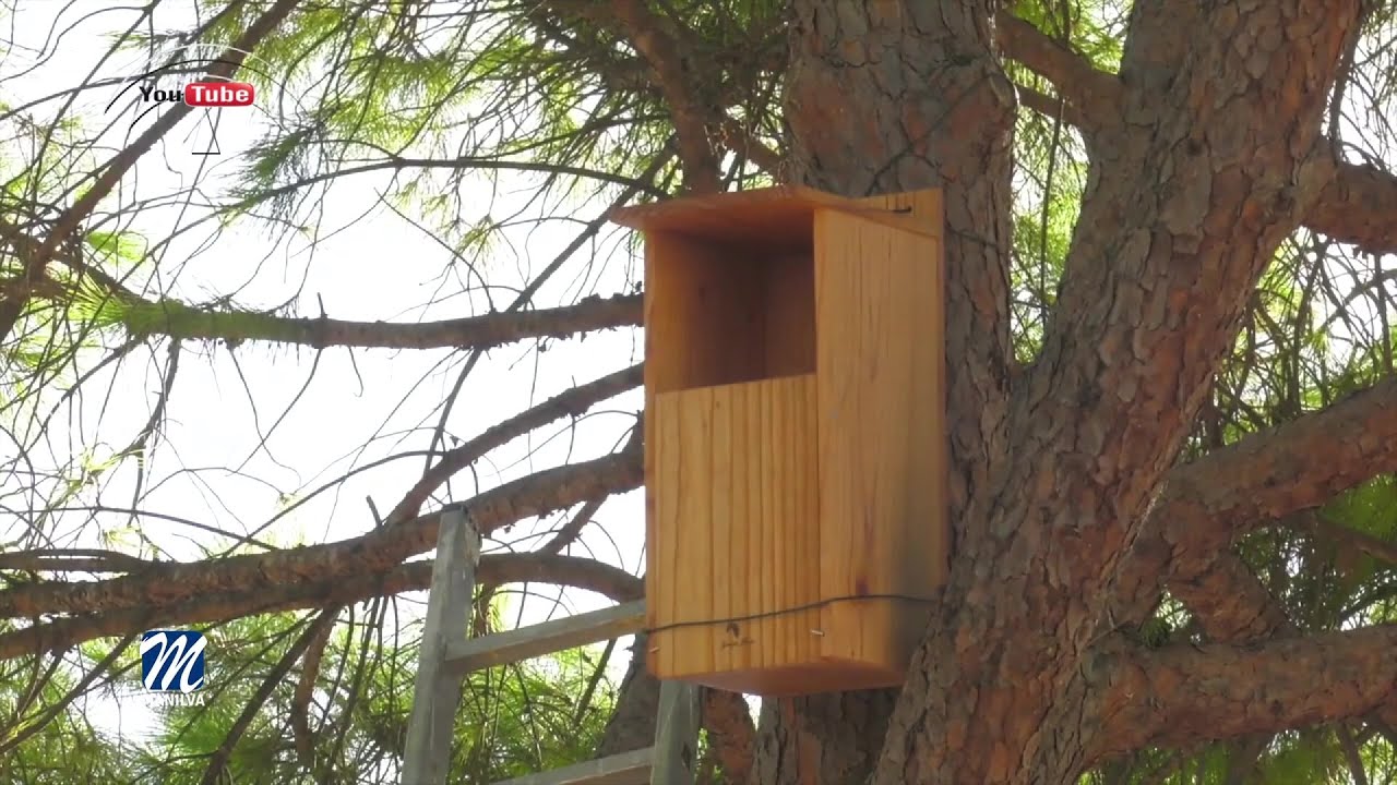 Taller de educación medioambiental