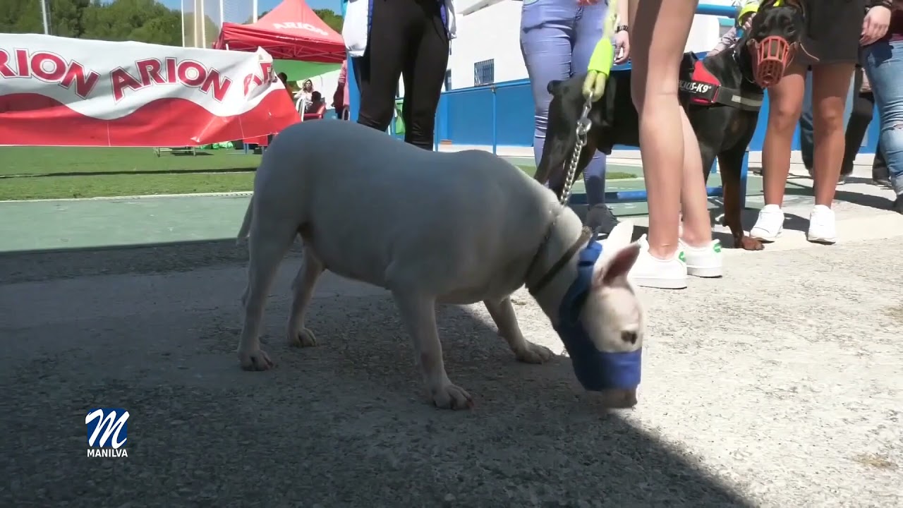 Tu mascota es tu responsabilidad