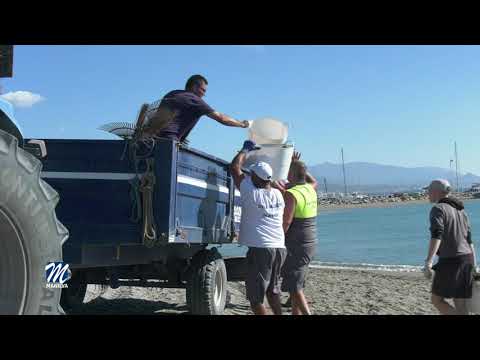 El área de playas trabaja a diario para mantener el litoral en perfecto estado
