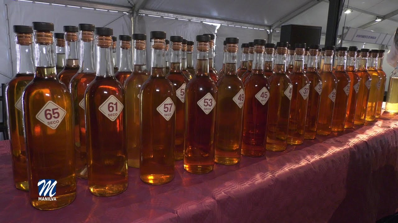 XIII Concurso del Vino de Manilva