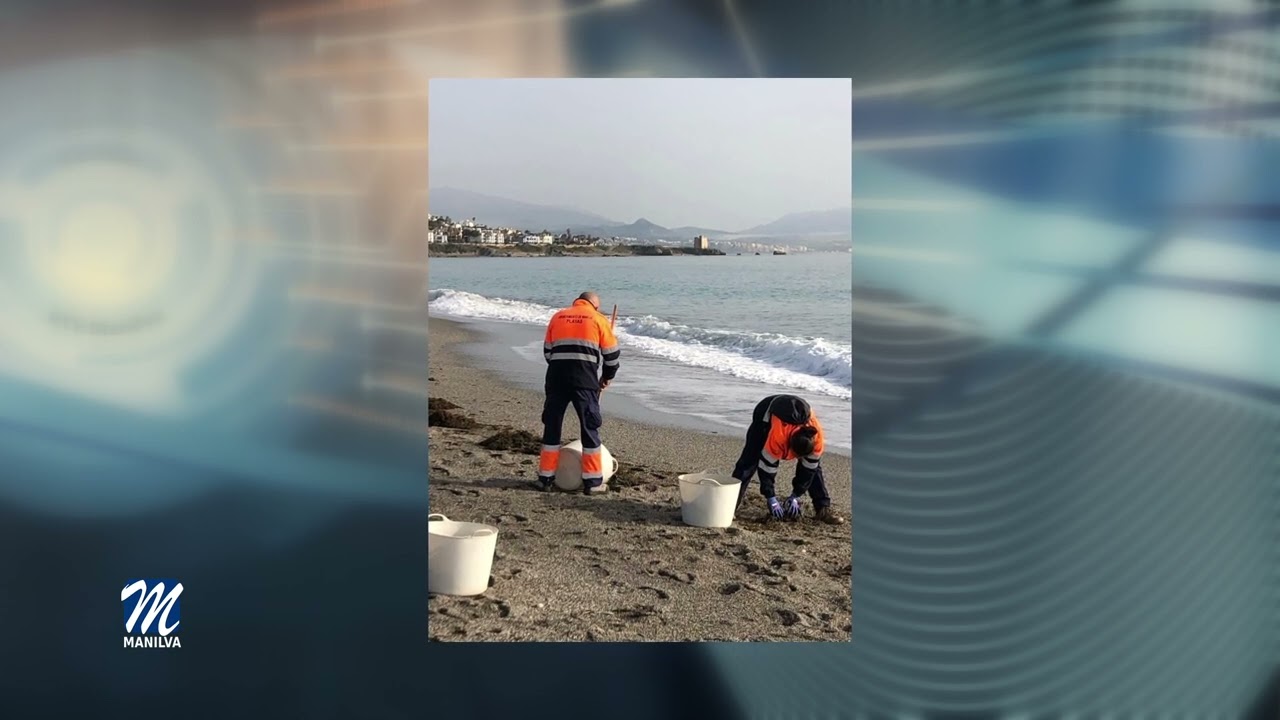 Se retoman los trabajos de limpieza de playas después del temporal